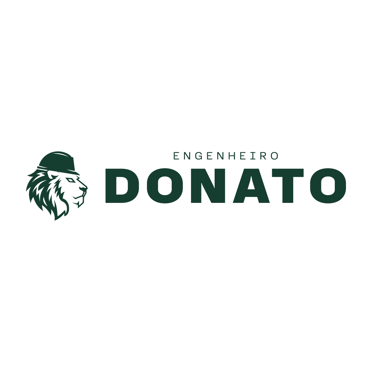 Logo Engenheiro Murilo Donato